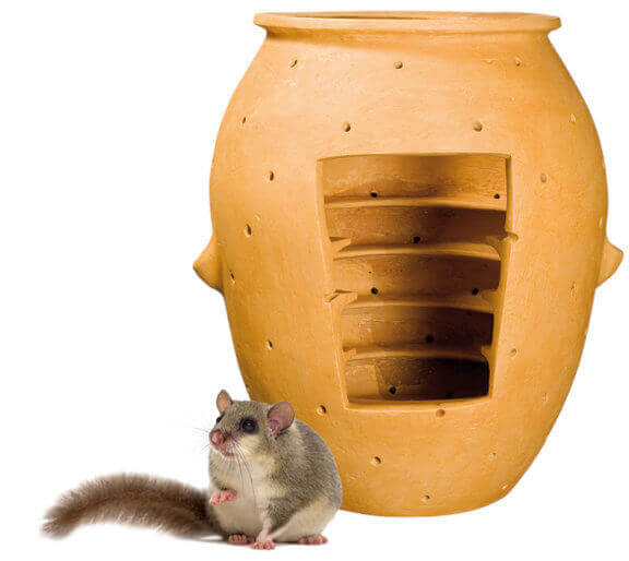 A large terracotta jar with holes in it. A part of one side has been cut away showing rungs around the inside of teh jar. Outside a small furry dormouse sits.