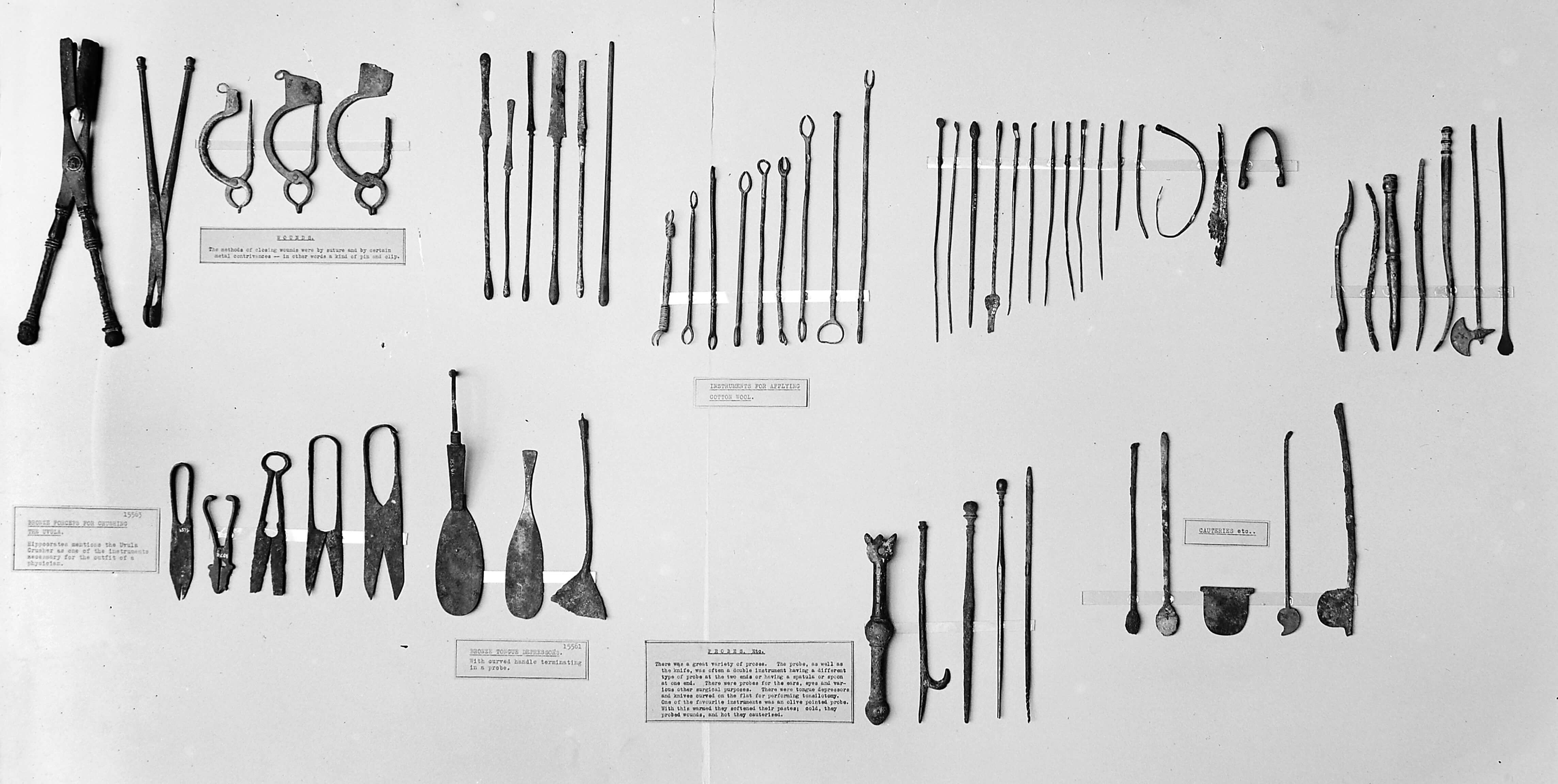 Many medical instruments and tools lain out on a white background. Most are made of metal. Some have hooked or sharp ends, others are types of tweezer or plyer.