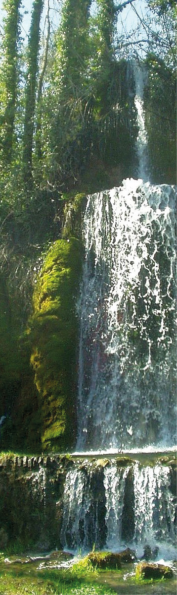 A waterfall flowing with water over two ridges into a pool, with verdant green trees on either side.