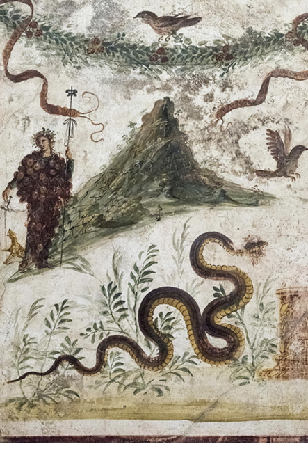 A wall painting showing a moutain covered in vines. To the right stands a man dressed in a bunch of grapes holding a staff. To his side is a leopard, and beneath is a large snake.
