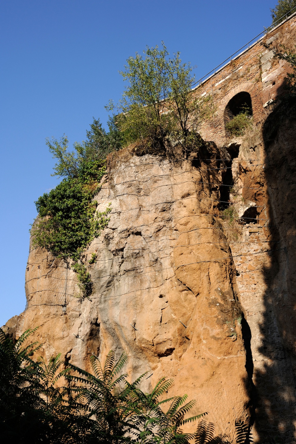 A sheer cliff face with orange-colored rock and sparse vegetation. Behind is a clear blue sky.