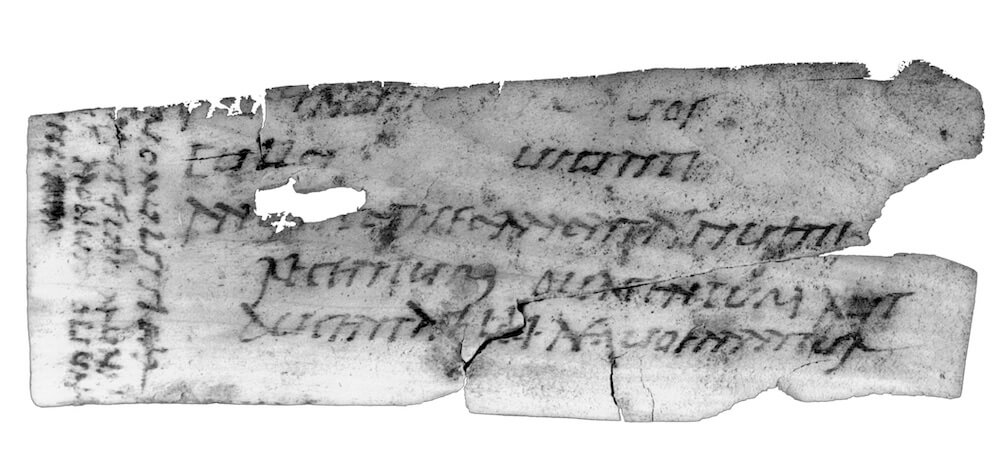 A damaged sheet of alder bark showing faded Latin handwriting.